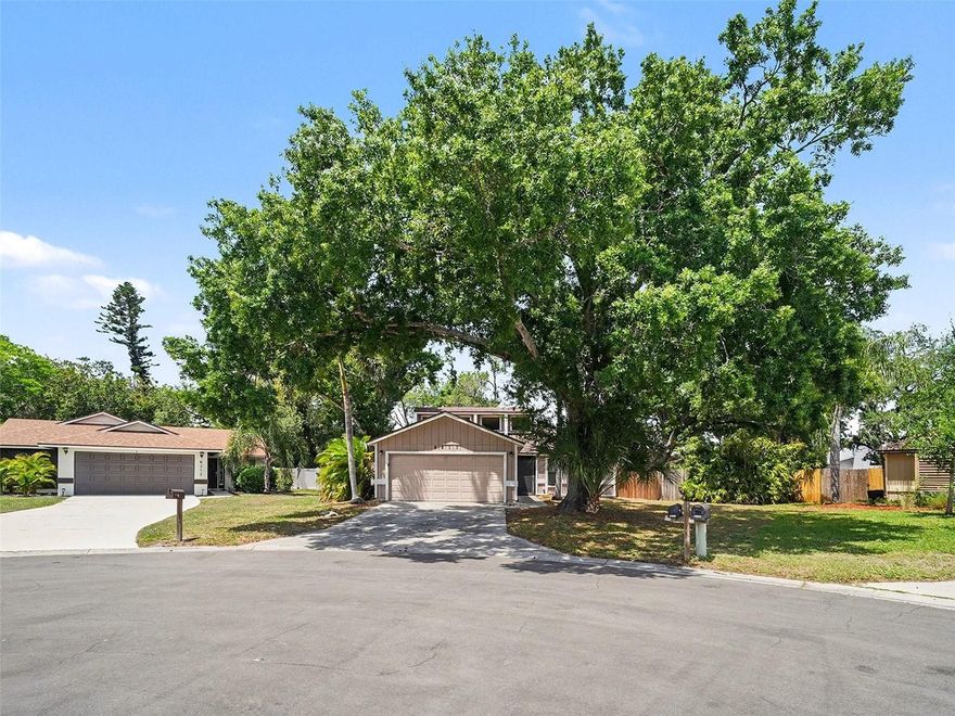 Move-in ready three-bedroom, two-bathroom home perfectly situated on a quiet cul-de-sac in Sarasota.
This residence offers the ultimate combination of privacy and peace of mind. The interior features soaring tall ceilings in the living room, creating a bright and airy atmosphere enhanced by high windows that fill the home with natural light. The updated kitchen is a true standout, featuring premium granite countertops and sleek stainless-steel appliances, making it a stylish and functional heart of the home.
The primary bedroom is designed for comfort, offering extensive storage with a large walk-in closet. Outside, the fully fenced-in backyard provides a secure and private oasis for outdoor activities, pets, and weekend entertaining. Major airports, professional sports venues, and popular attractions are all within about an hour’s drive!
Schedule your private showing today!