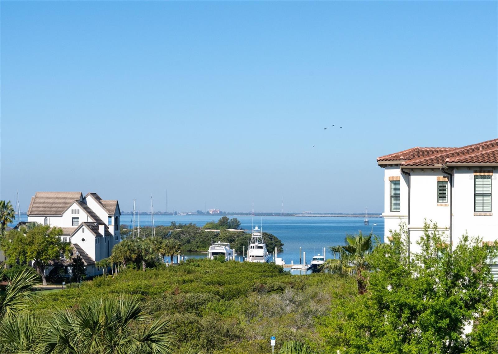 CASTILLO AT WESTSHORE YACHT CL - Residential