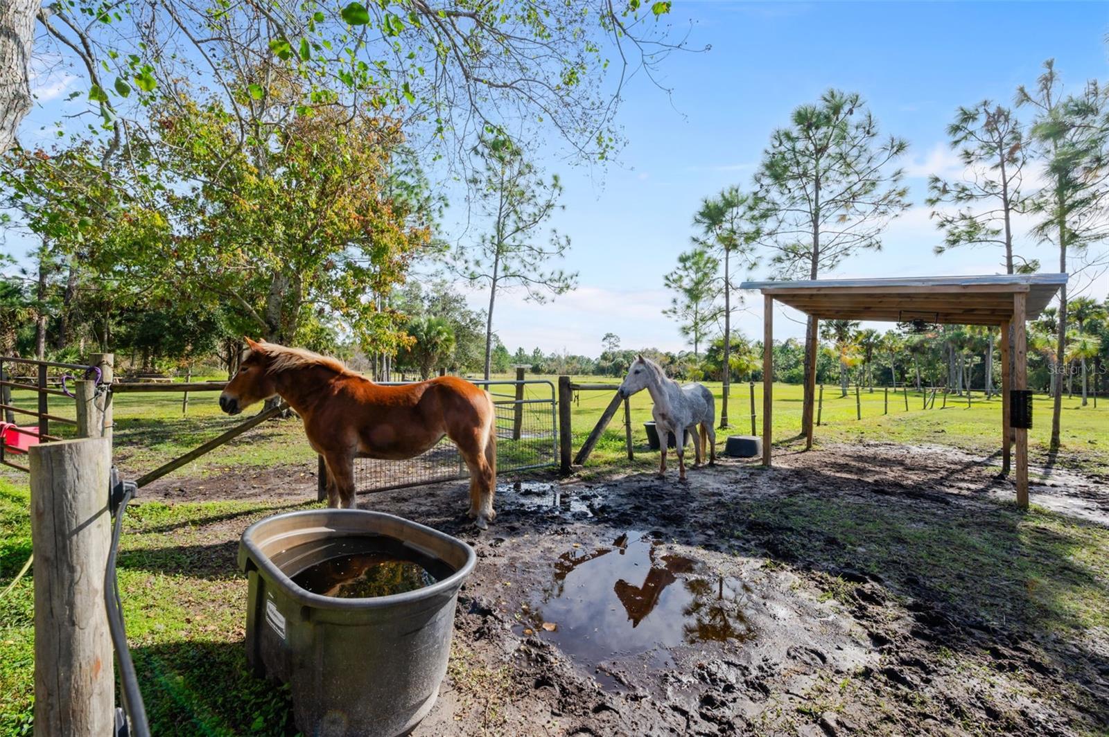 FAWN LAKE PUD PH 02 UNIT 03 - Residential