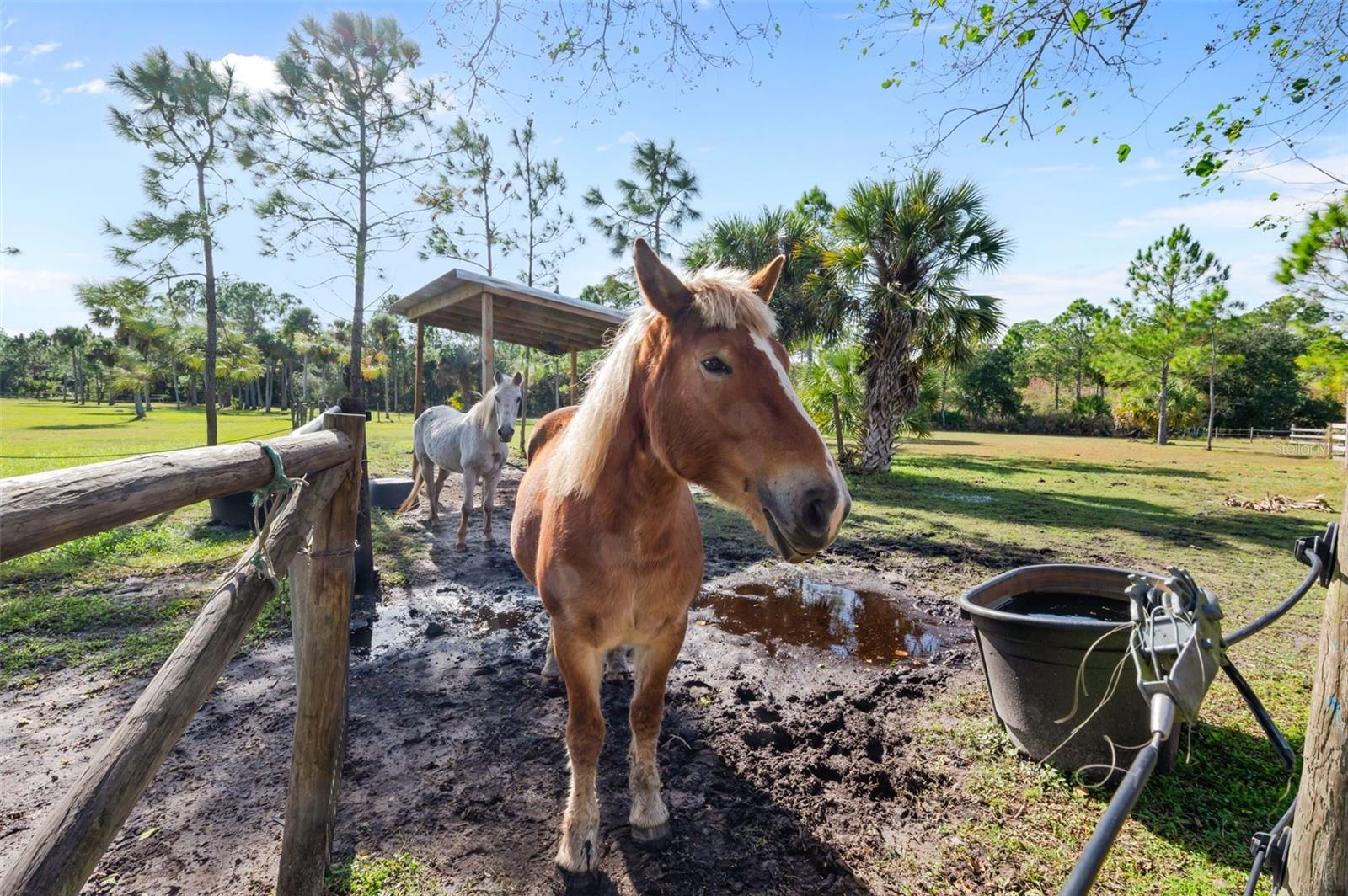 FAWN LAKE PUD PH 02 UNIT 03 - Residential