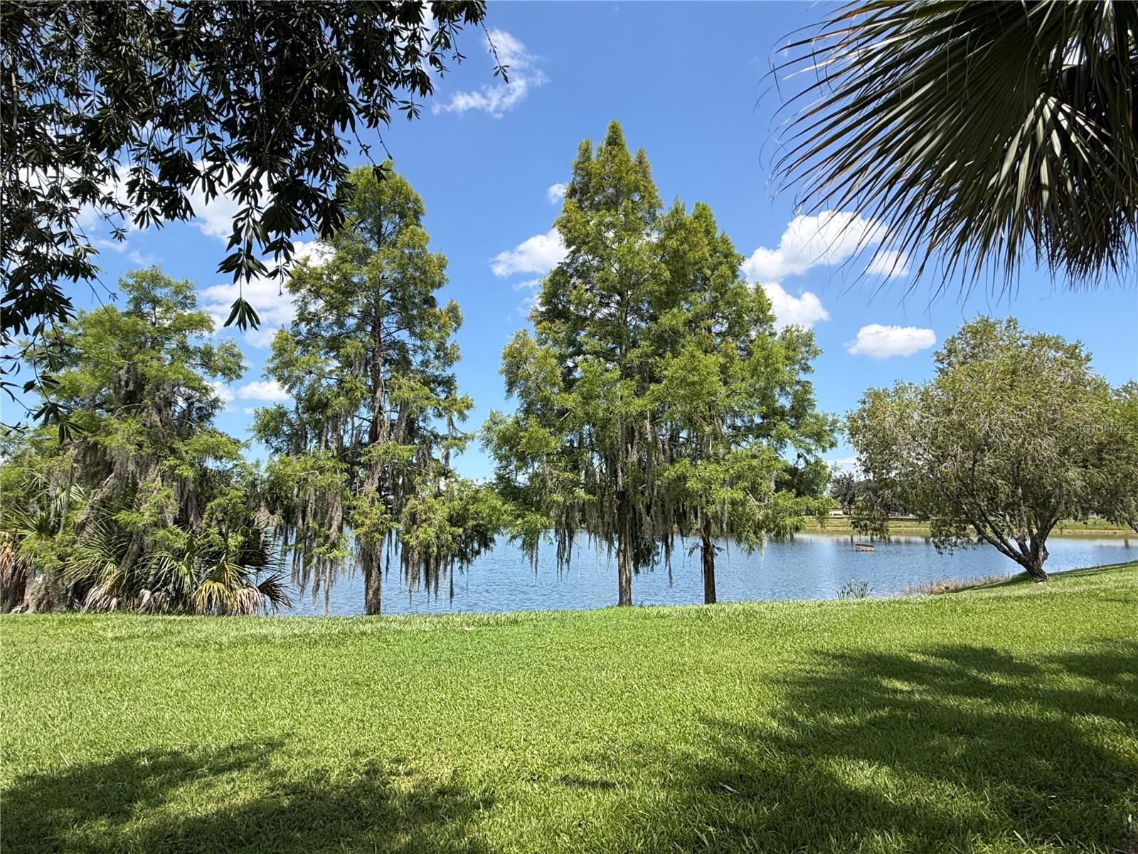 2316 PALM TREE DRIVE