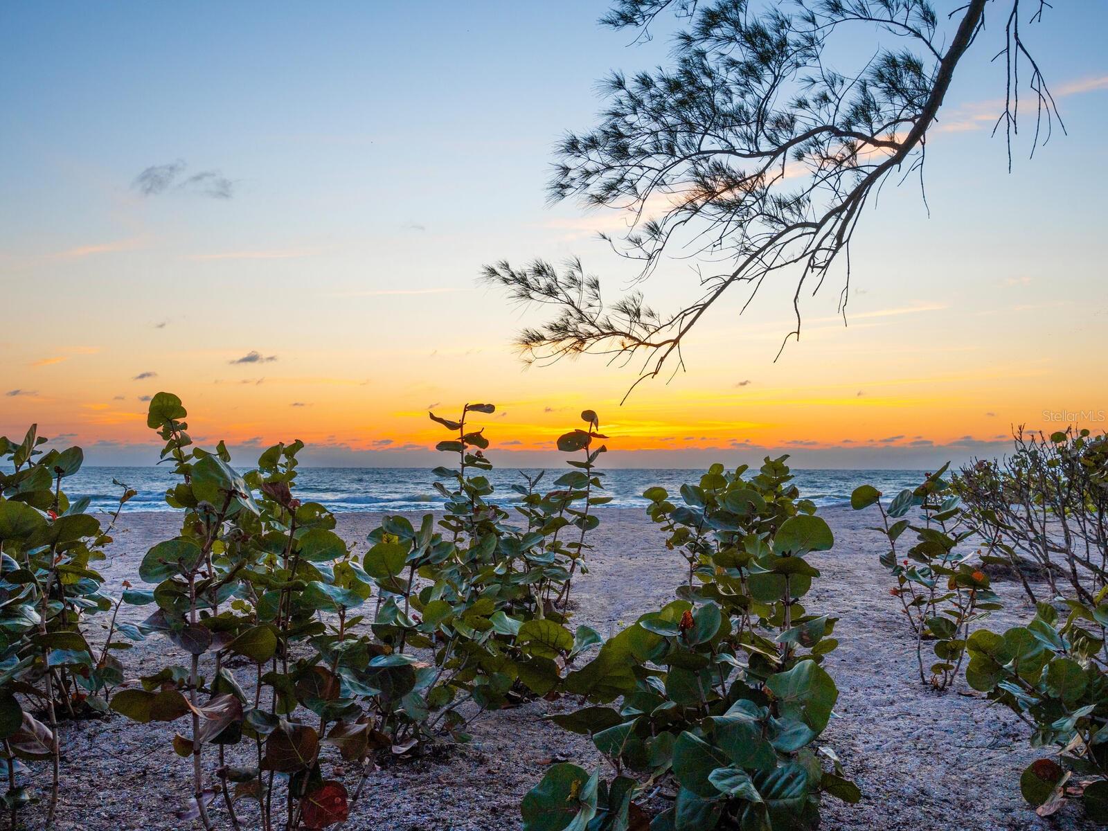 CASEY KEY - Residential