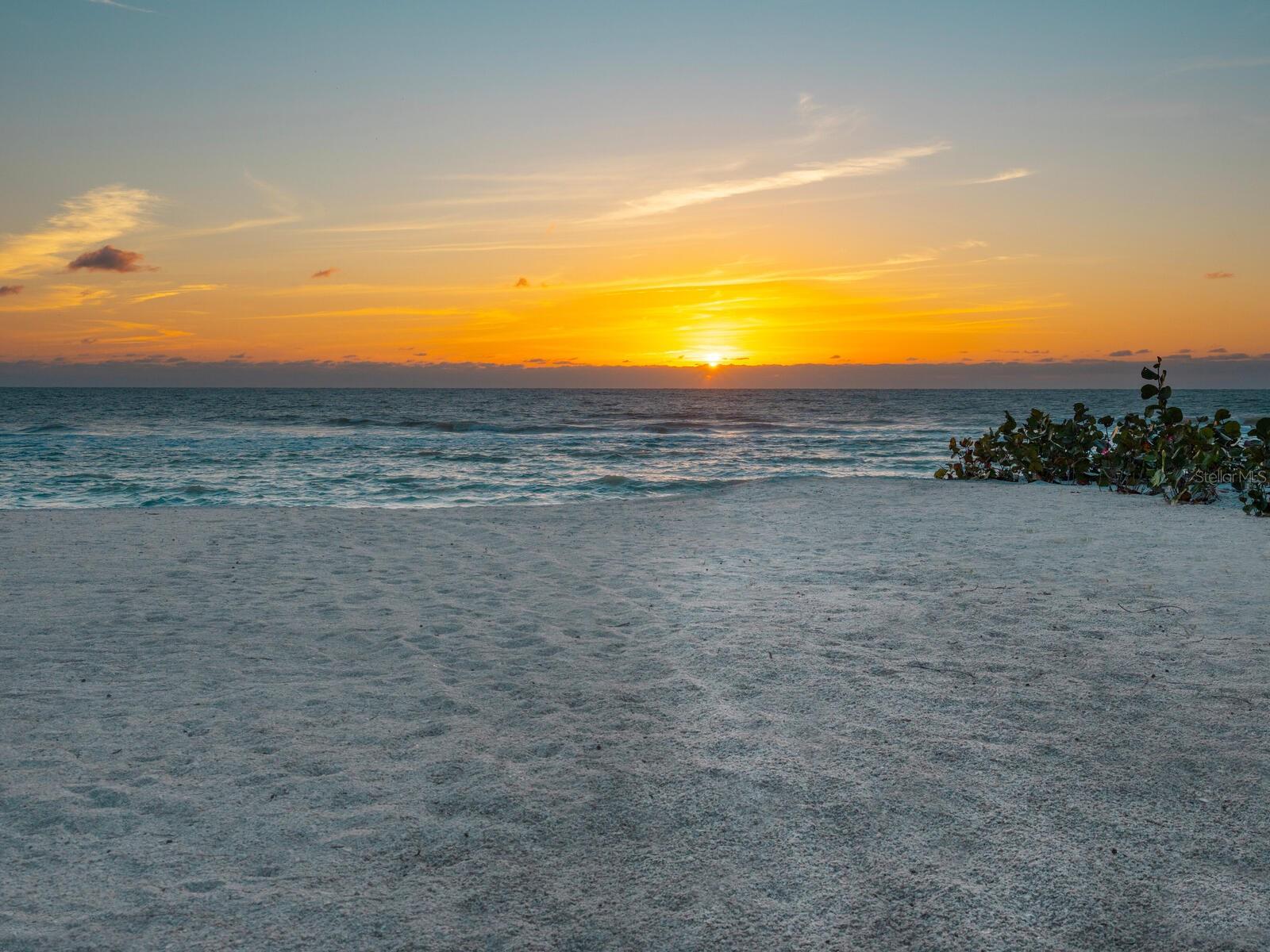 CASEY KEY - Residential