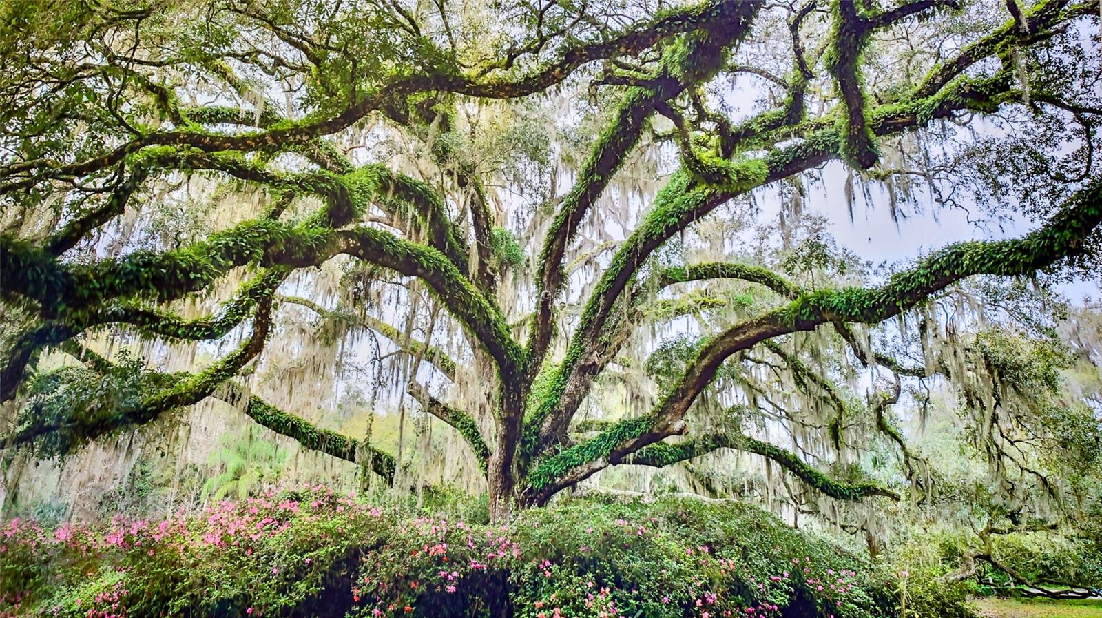 OCEAN HAMMOCK PRCL B-3 - Commercial Sale