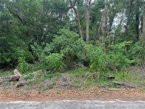 Tiny photo for 3638 E Lee Drive, Inverness, FL 34453 (MLS # GC540287)