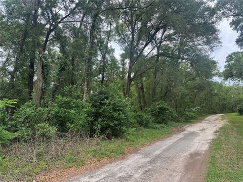 Tiny photo for 3638 E Lee Drive, Inverness, FL 34453 (MLS # GC540287)