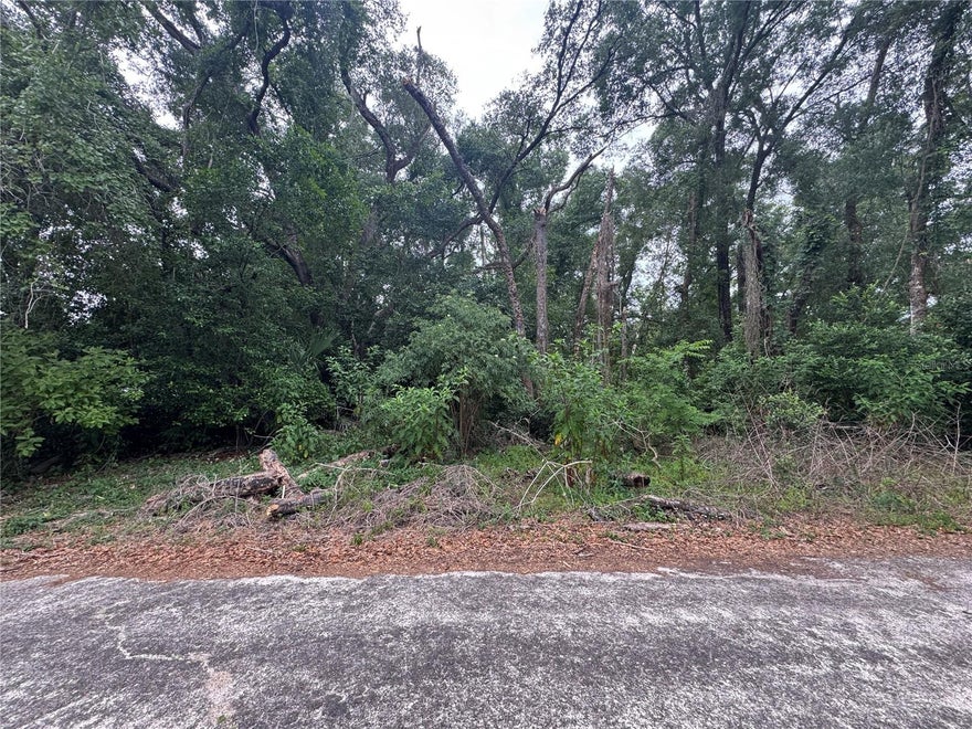 Prime opportunity in desirable Inverness Highlands North! This 0.19-acre property includes Lots 9–12 with MDR zoning, paved road frontage, and utilities at the road. Surrounded by mature trees, this homesite offers a peaceful setting with no HOA and no flood zone. Well and septic needed. Conveniently located near shopping, dining, medical offices, downtown Inverness, lakes, trails, golf, and more—perfect for your future home or investment!
