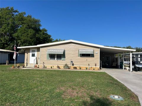 Photo of 111 Winterberry Avenue, Wildwood, FL 34785 (MLS # G5109657)