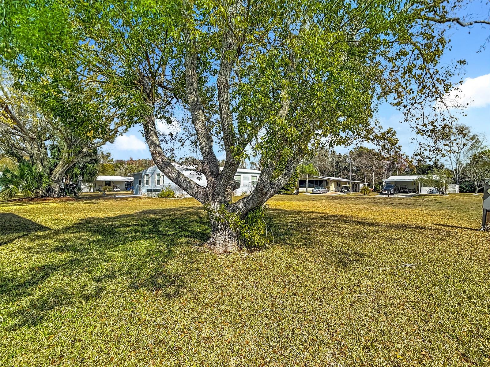 FOREST GLENN PH I - Residential