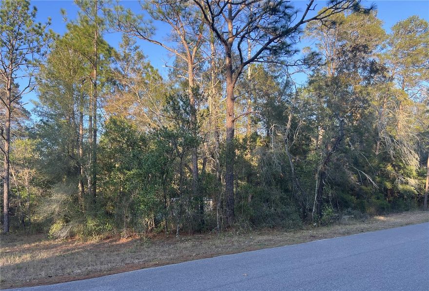 Looking for space, privacy, and the freedom to build your way? This generous 2.5-acre lot in Brooksville offers the perfect canvas for your dream home, mini-farm, or weekend escape. With plenty of room for a custom build, outdoor toys, a garden, or simply wide-open space to enjoy, the possibilities are endless. Set in a peaceful, rural-feeling area while still close to shopping, dining, medical services, and major roadways, this property gives you the best of both worlds - quiet living with everyday conveniences just minutes away. A rare chance to own a large piece of land in a desirable and growing area. Come explore the potential and imagine the lifestyle you can create!