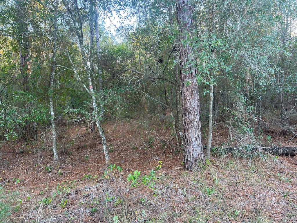 Photo of 4 Blair Avenue, Brooksville, FL 34604 (MLS # W7881517)