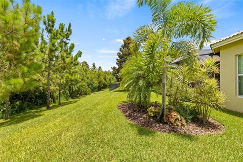 A home in WIMAUMA