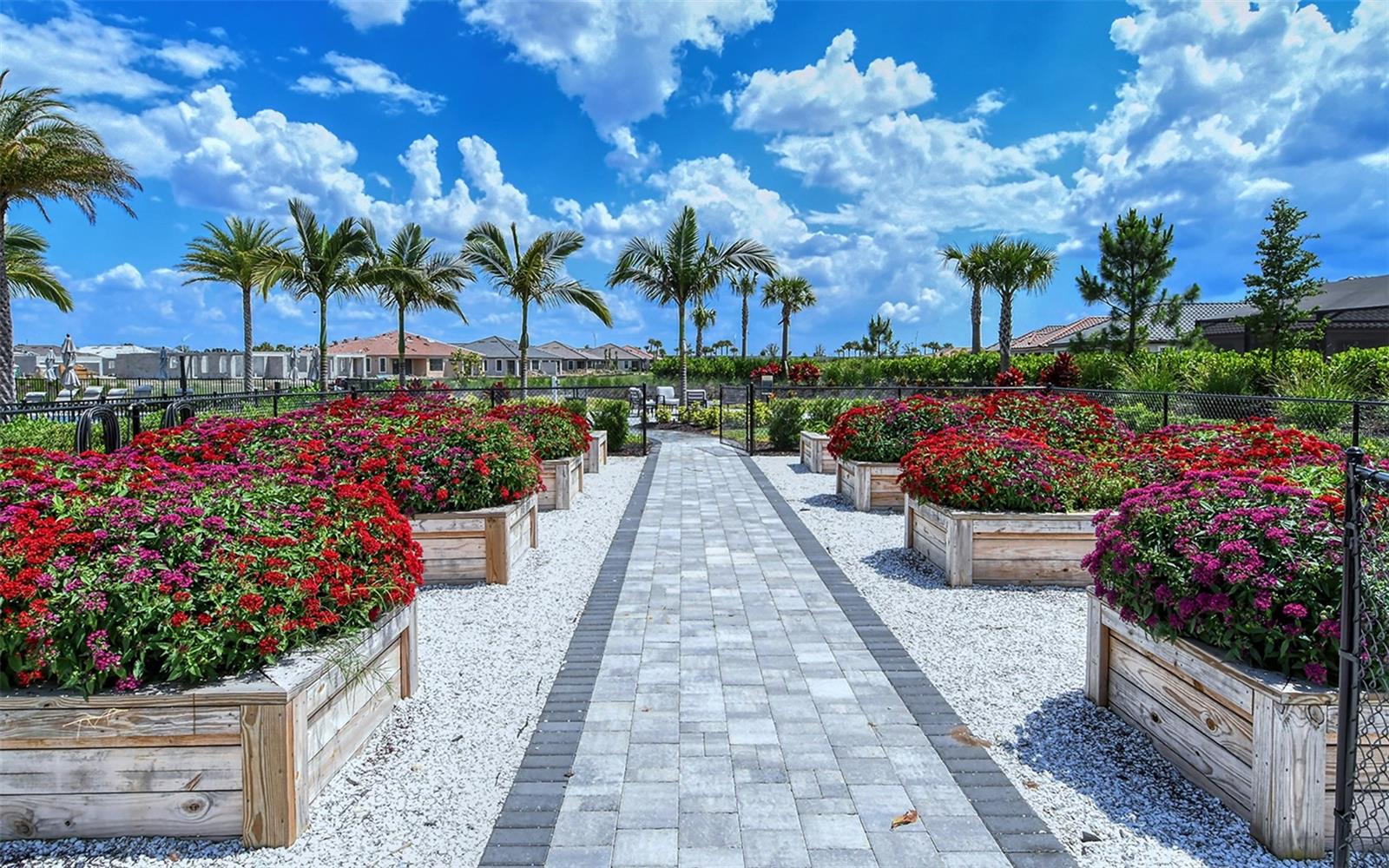 AZARIO ESPLANADE PH II SUBPH C-O - Residential Lease