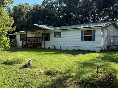 1107 CARMICHAEL PLACE DOVER FL 33527