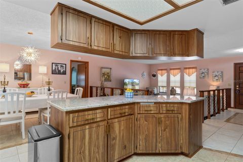 Tiny photo for 5 Mangrove Court S, Homosassa, FL 34446 (MLS # TB8493756)