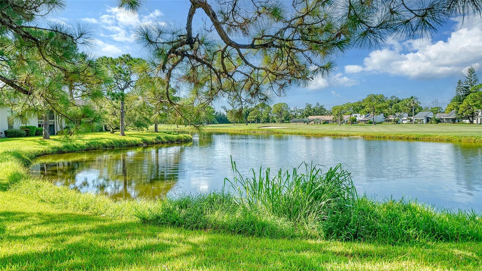 WILLOW GREEN - Residential Lease