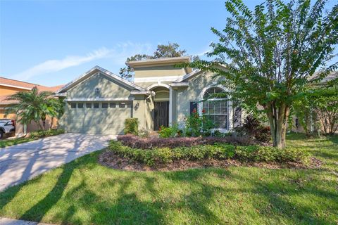 A home in VALRICO