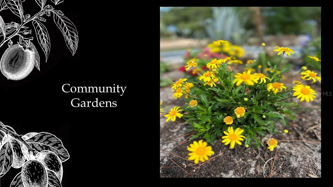 FLINT ROCK AGRIHOOD/THE PARKE - Land