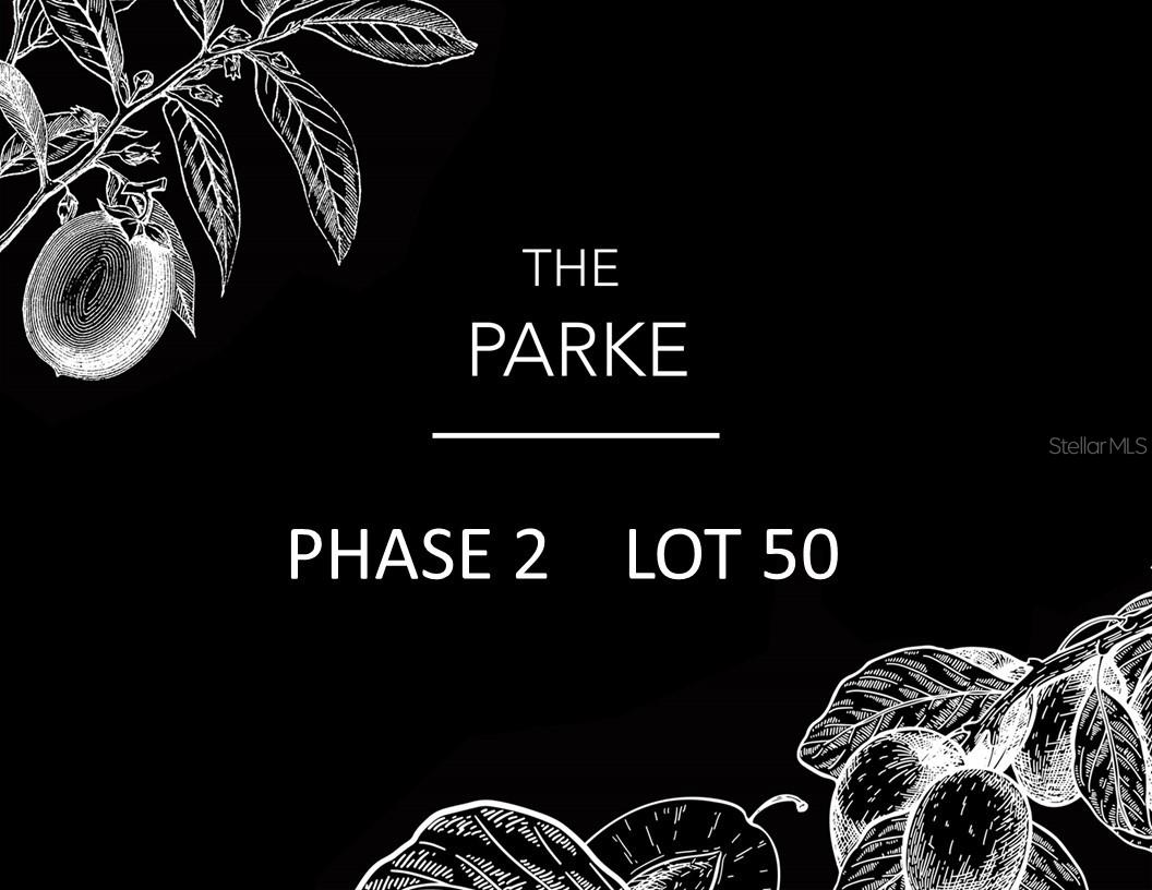 FLINT ROCK AGRIHOOD/THE PARKE - Land