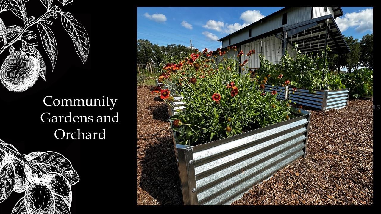 FLINT ROCK AGRIHOOD/THE PARKE - Land