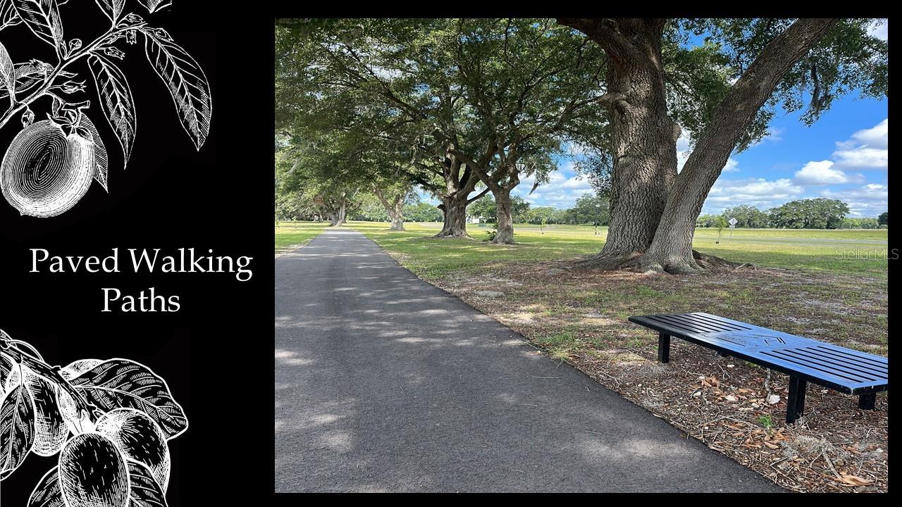 FLINT ROCK AGRIHOOD/THE PARKE - Land