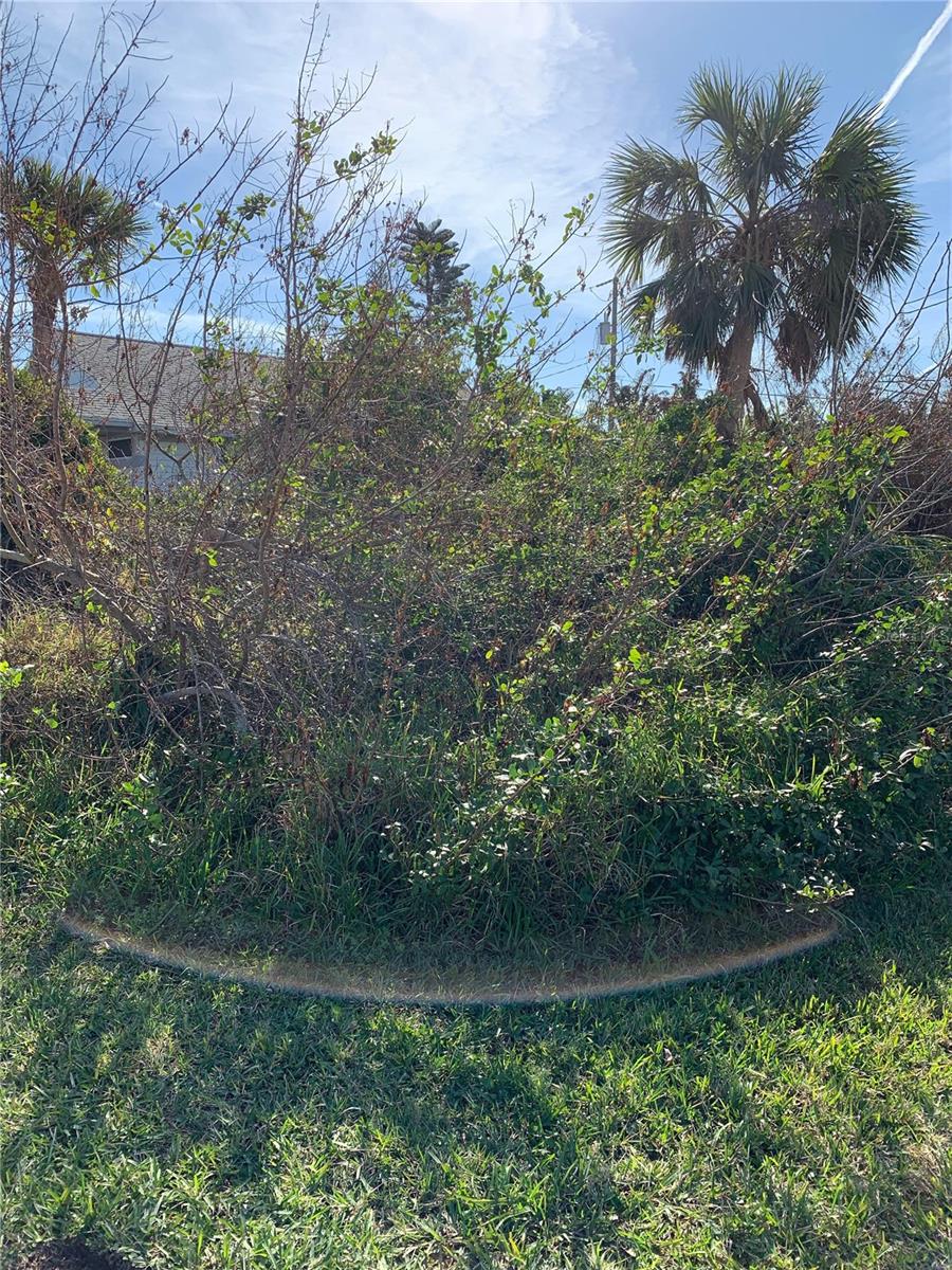 CAPISTRANO BY SEA - Land