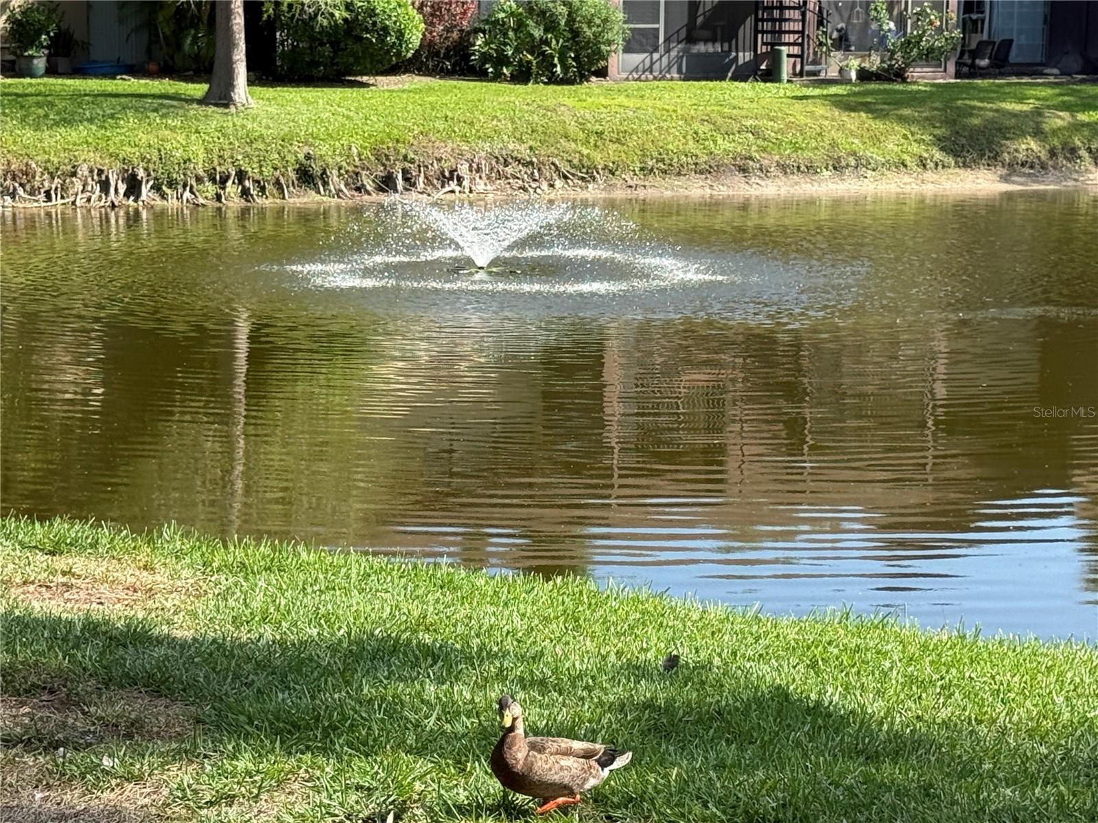 VILLAGE LAKE CONDO - Residential