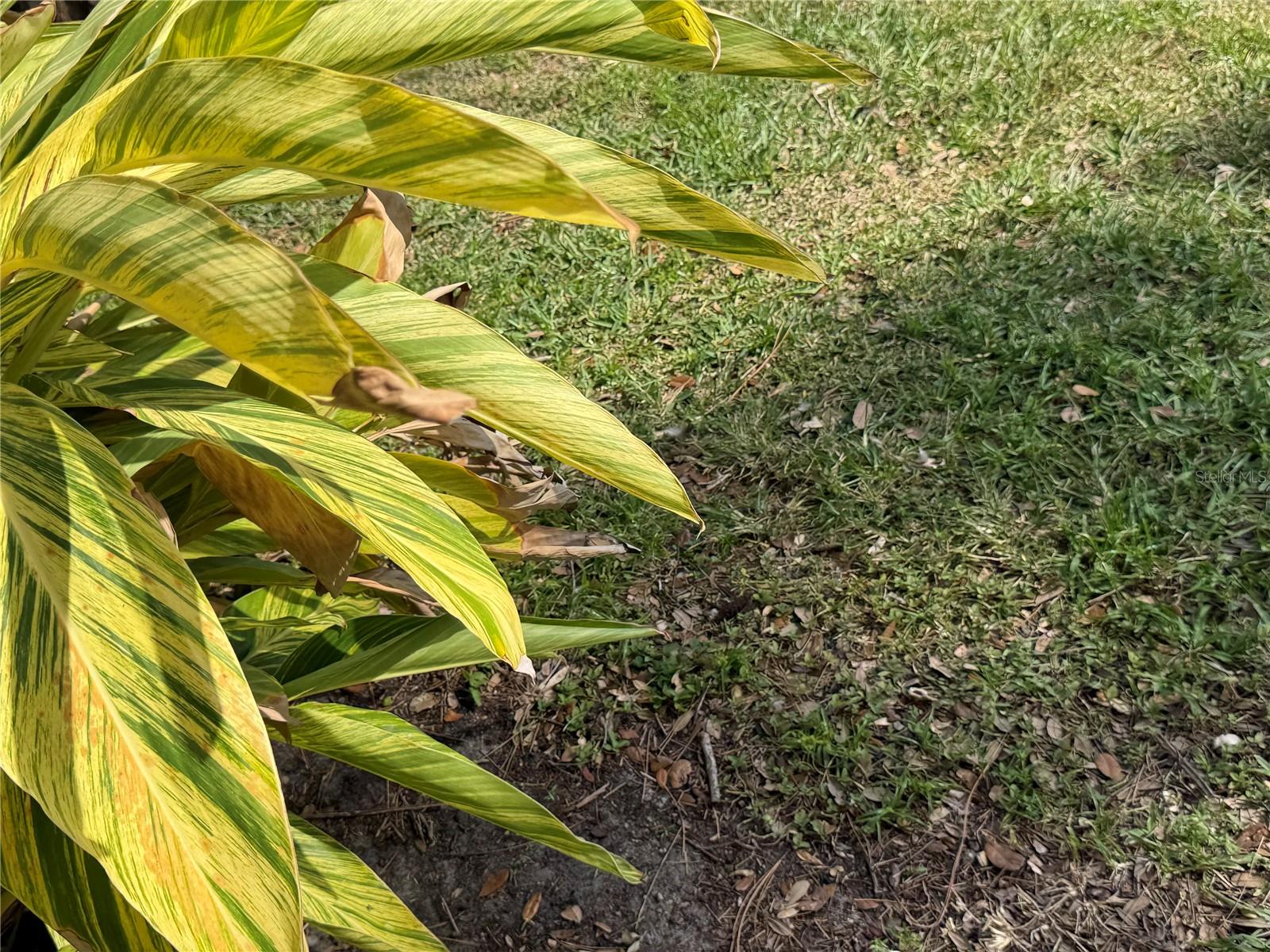 VILLAGE LAKE CONDO - Residential