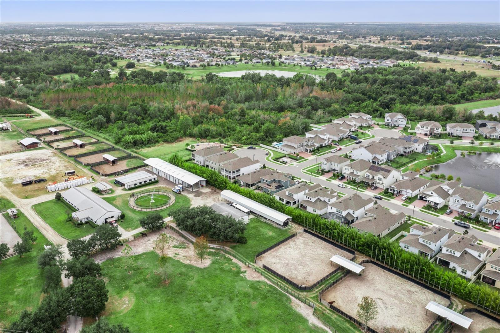 TILDEN PLACE/WINTER GARDEN - Residential