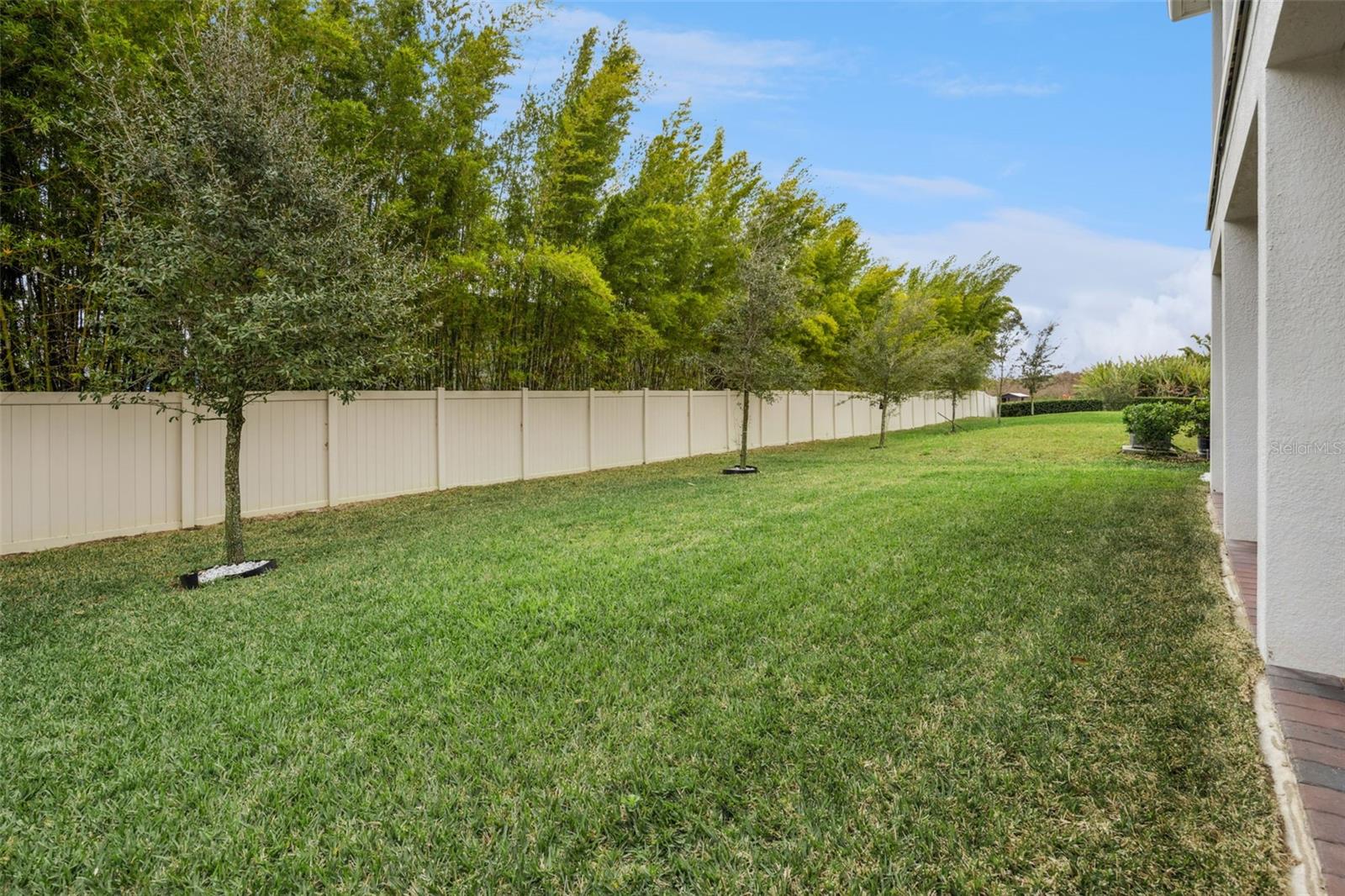 TILDEN PLACE/WINTER GARDEN - Residential