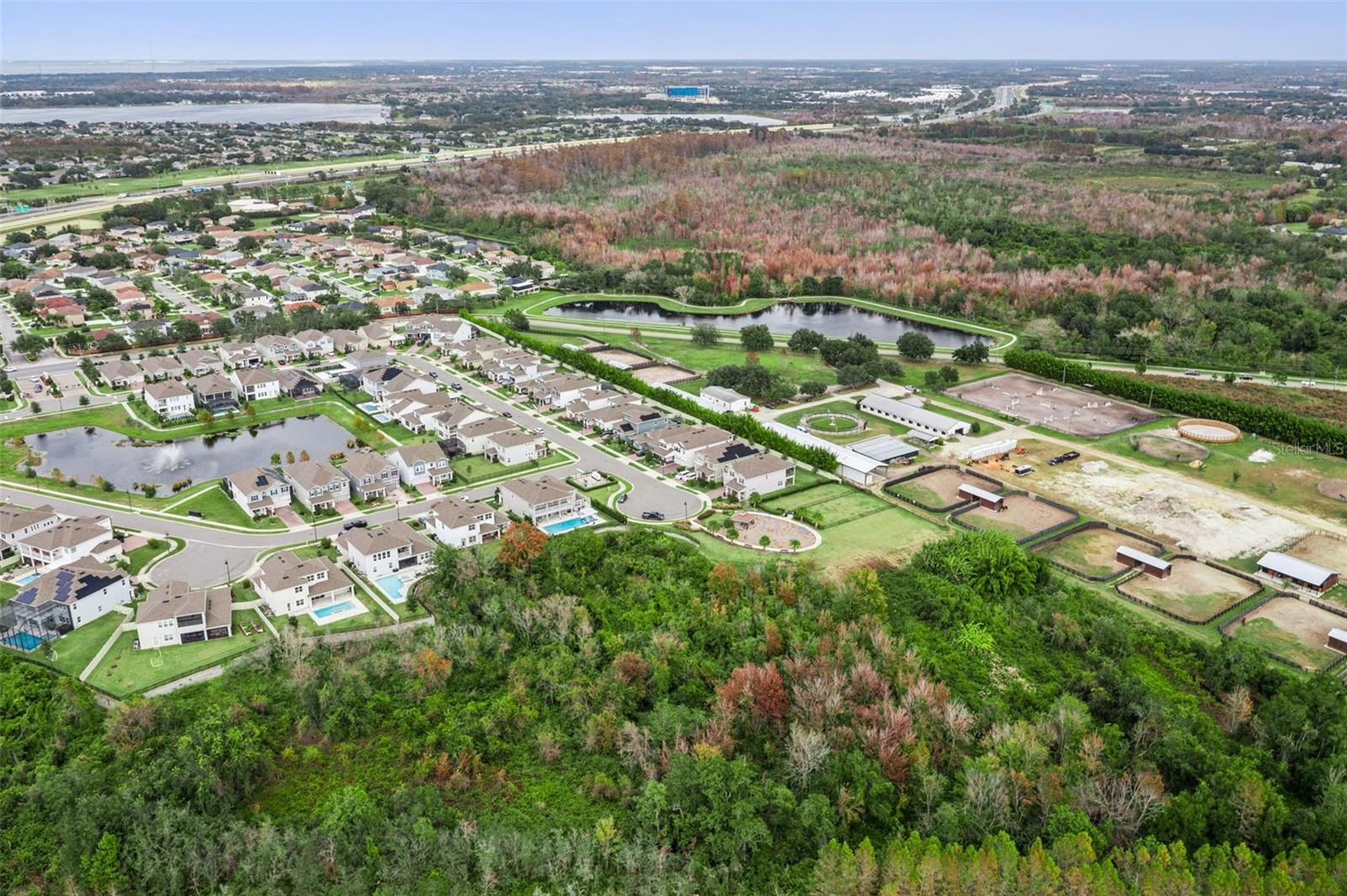 TILDEN PLACE/WINTER GARDEN - Residential