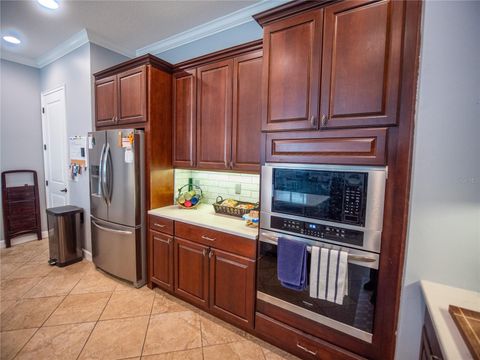 Tiny photo for 2135 Appalachee Circle, Tavares, FL 32778 (MLS # O6366281)