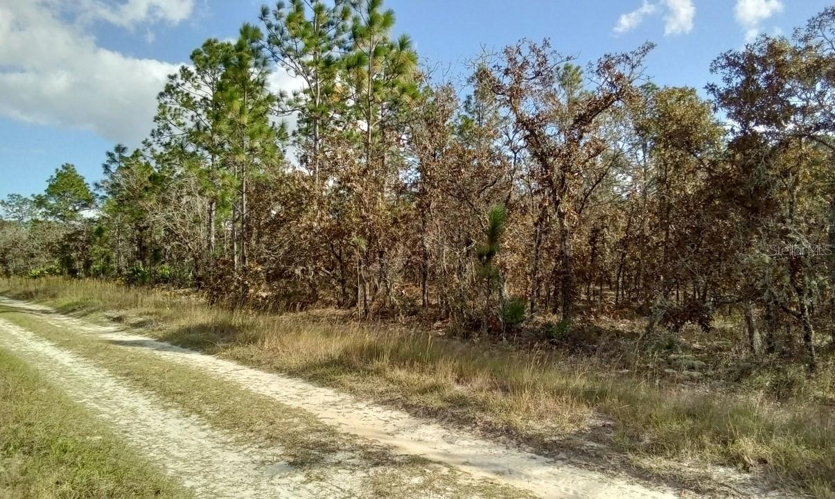 ROLLING HILLS UN 01 - Land