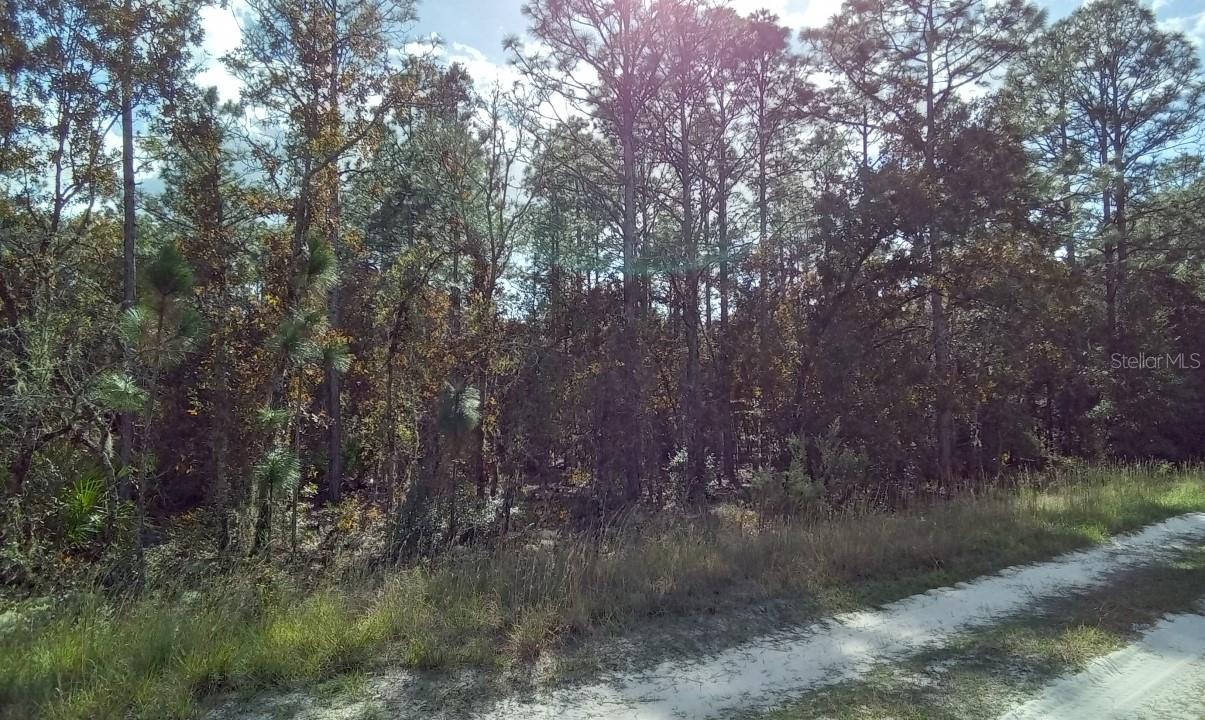 ROLLING HILLS UN 01 - Land