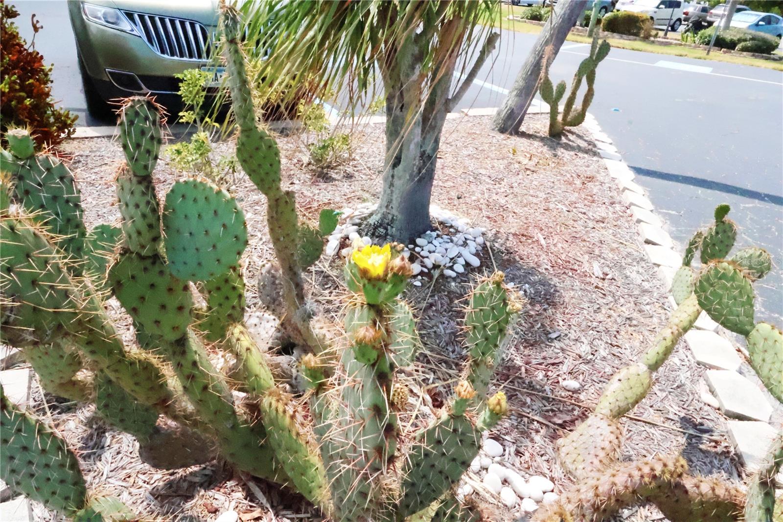 BAYSHORE ON THE LAKE APTS SEC 1 - Residential