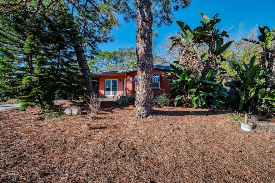 Ozona of Palm Harbor! Located on a very private .26 acre double lot, this solid 1955 bungalow has been completely renovated! Offering concrete block construction, this beauty has 2 bedrooms, 1 bathroom, a large bonus room, carport, a gorgeous pool plus a huge fully fenced in yard! THE GOODS: new A/C 2025, ALL NEW kitchen, ALL NEW bathroom, new LVP flooring throughout, new light fixtures/fans throughout, fresh paint & trim throughout, all new interior doors throughout. Located on a private, dead-end street yet in the heart of it all - this amazing double lot offers so many options! Golf cart friendly Ozona offers multiple marinas, restaurants and shops within steps of this beauty! Plus no HOA/no deed restrictions- bring your boat, RV and all your Florida lifestyle toys! There are no rental restrictions in this highly coveted community -think Air BB! The Pinellas Trail is walkable from the home and you can be to Honeymoon Island/Dunedin Causeway in minutes by bike! Downtown Palm Harbor is minutes away by golf cart/bike or foot and offers many festivals and fun eateries! This amazing location also offers the noted school district of Palm Harbor University High School, Palm Harbor Middle School and Ozona Elementary -all within minutes! The Ozona lifestyle is paradise everyday!!