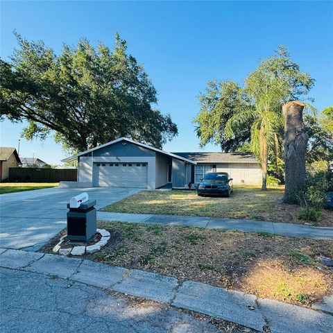 A home in VALRICO