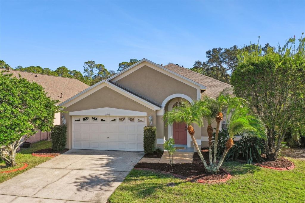 Photo of 12548 Blazing Star Drive, Tampa, FL 33626 (MLS # TB8314269)