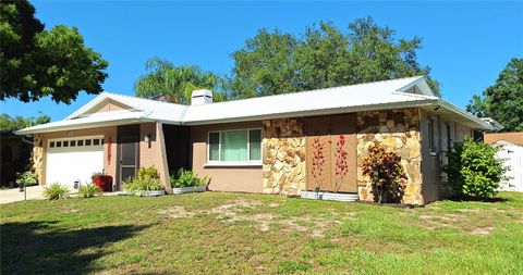 1291 STONY BROOK LANE DUNEDIN FL 34698