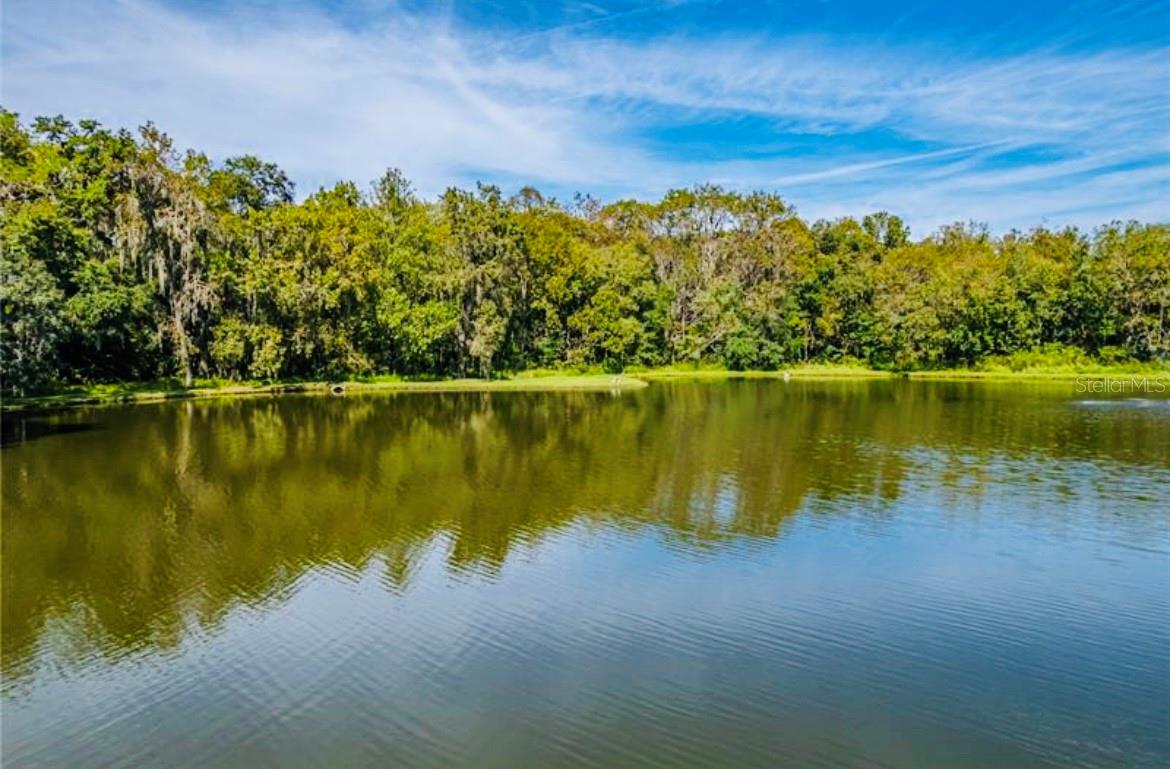 COLONNADES PH 02 - Residential