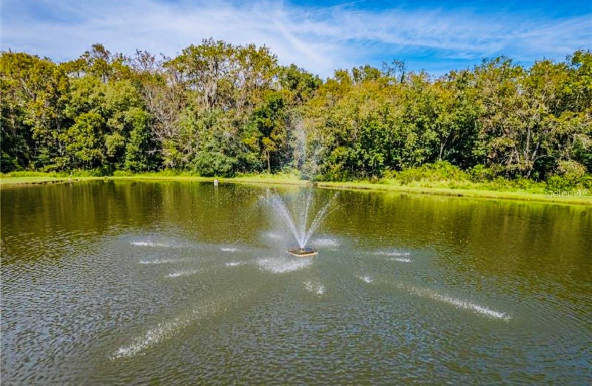 COLONNADES PH 02 - Residential