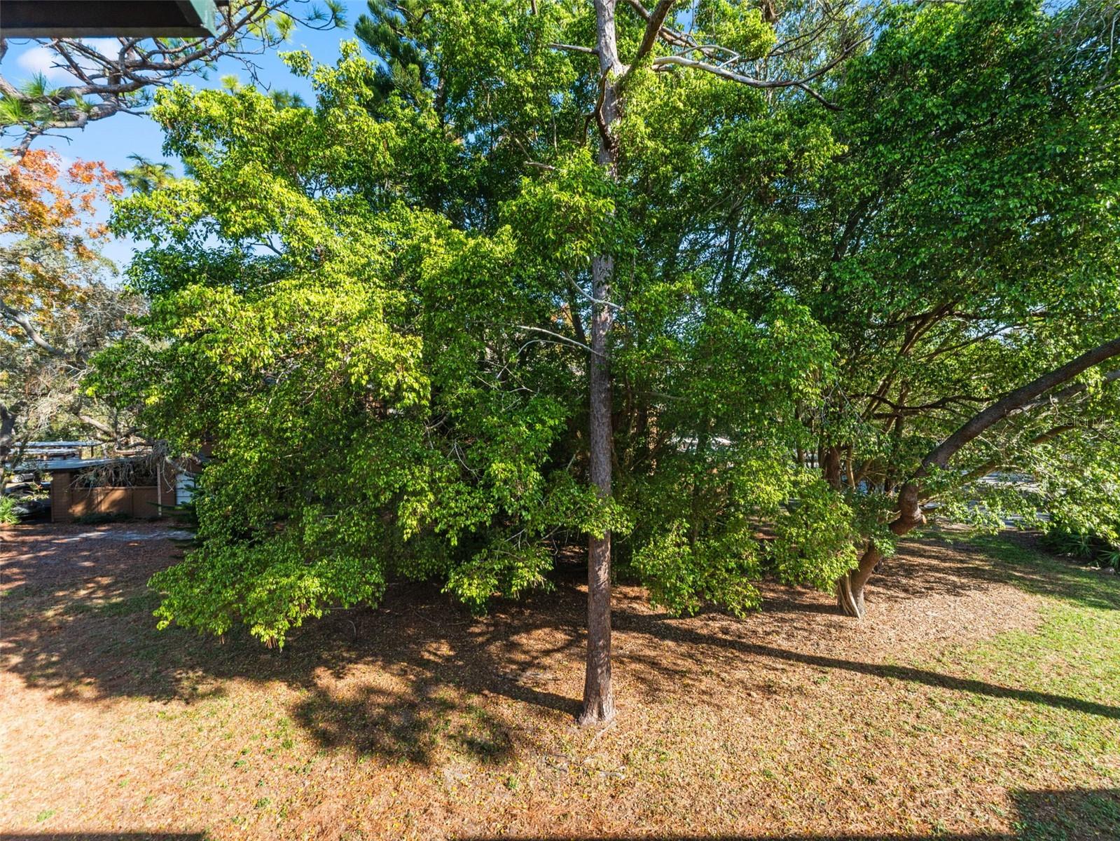 GLENEAGLES I CONDO - Residential