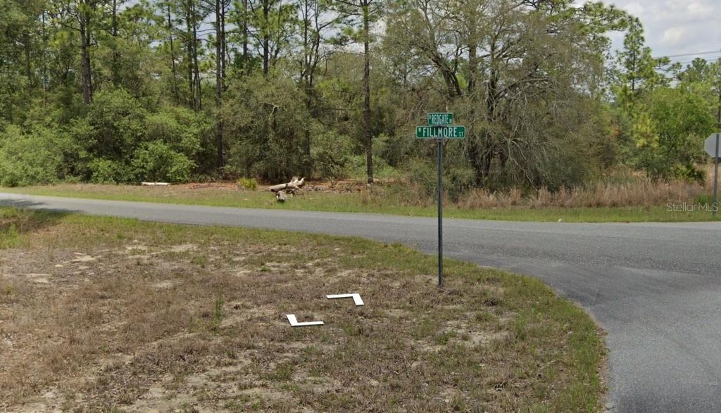 Photo of 3091 W Redgate Drive, Dunnellon, FL 34433 (MLS # W7884006)