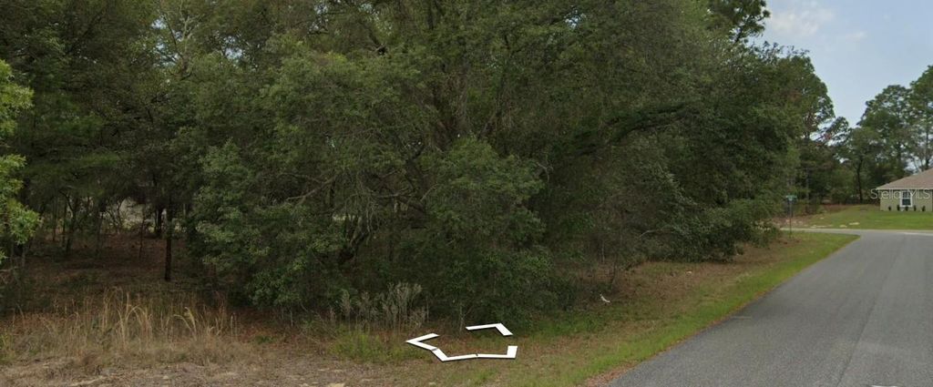 Photo of 3091 W Redgate Drive, Dunnellon, FL 34433 (MLS # W7884006)