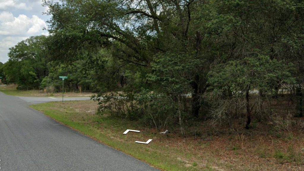 Photo of 3091 W Redgate Drive, Dunnellon, FL 34433 (MLS # W7884006)