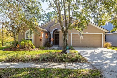 A home in LAND O LAKES