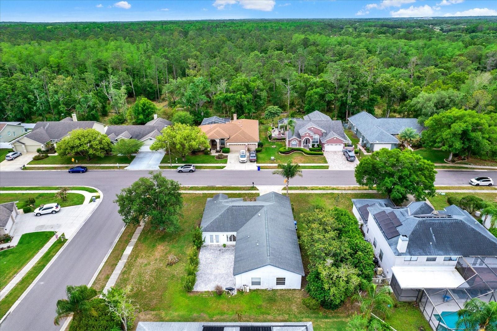 BRIDLEWOOD AT TARPON WOODS PH II - Residential