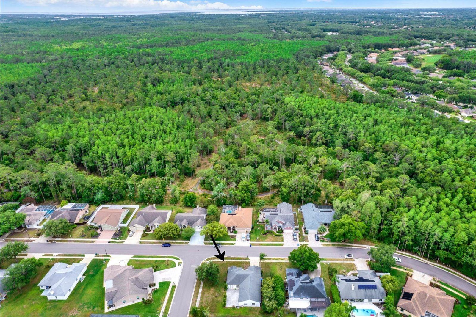 BRIDLEWOOD AT TARPON WOODS PH II - Residential