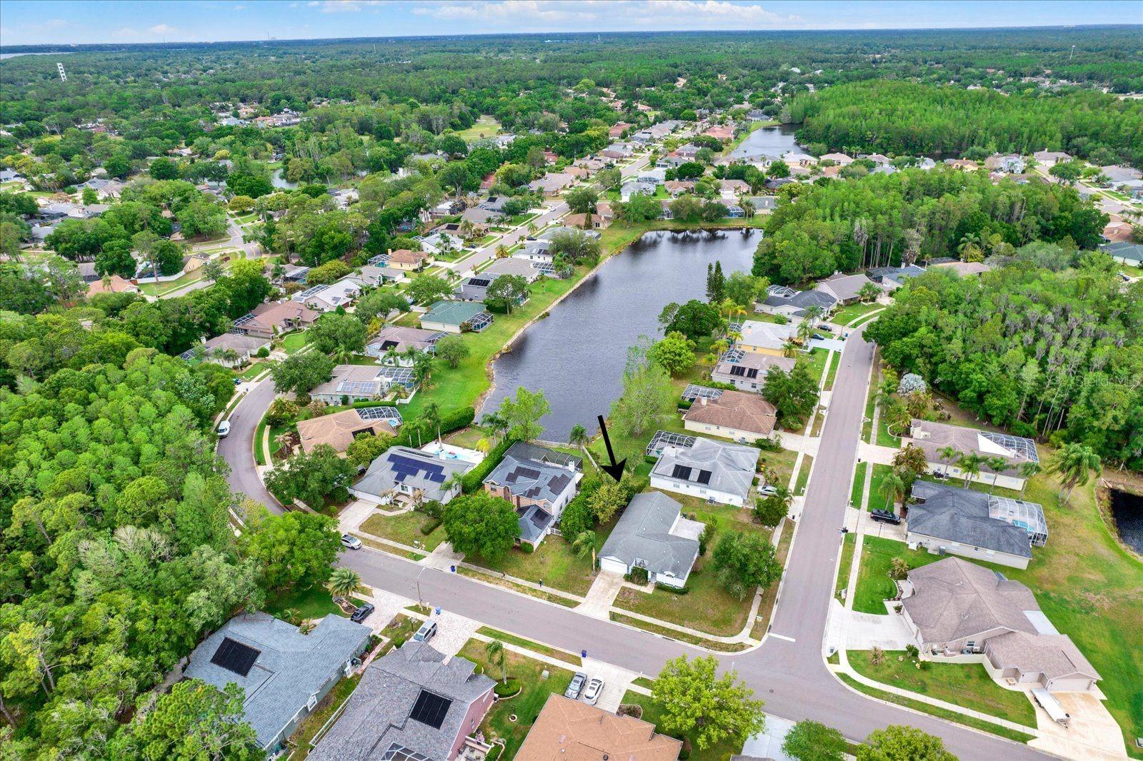 BRIDLEWOOD AT TARPON WOODS PH II - Residential