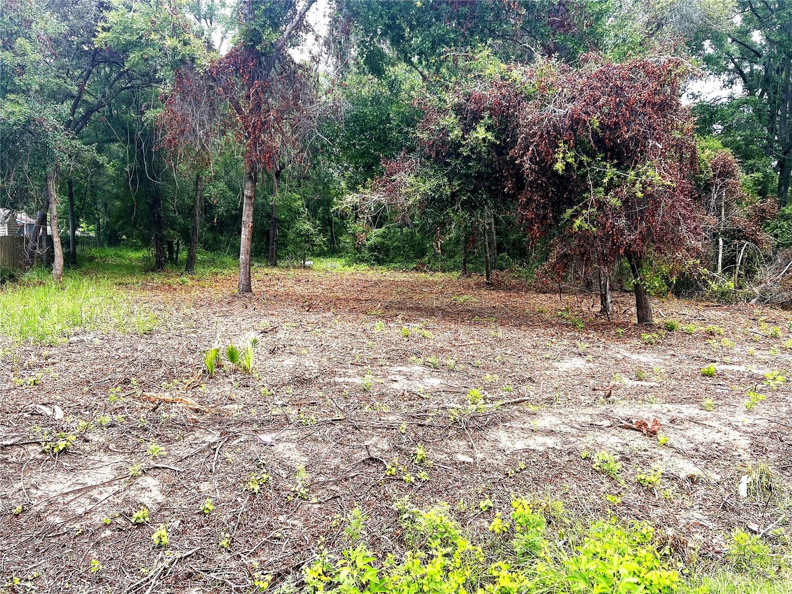 ORANGE BLOSSOM HILLS UNIT 3 - Land